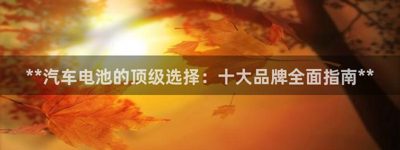优发国际 干什么的