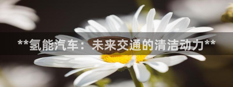 优发国际游戏n