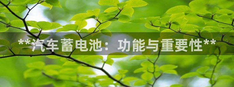 优发国际网站多少