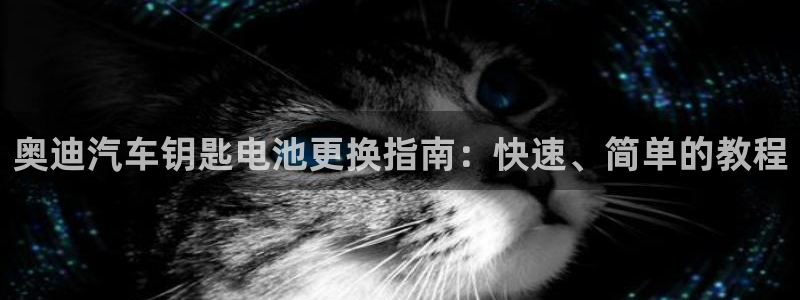 优发国际app