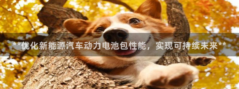 优发国际提现不了