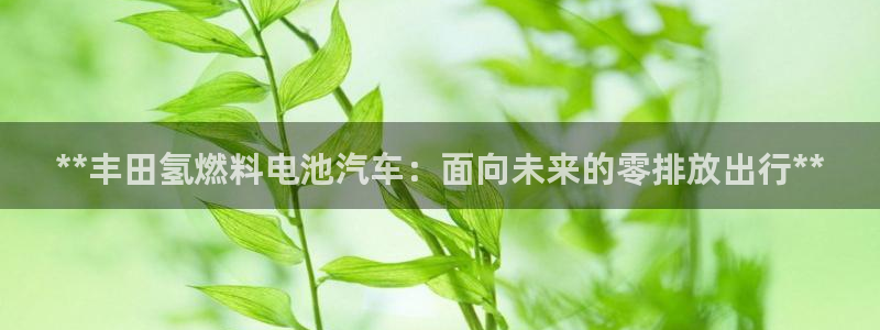 优发娱乐pc版官网