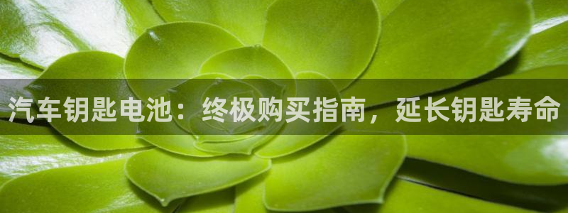 优发国际手机客户端下载官网