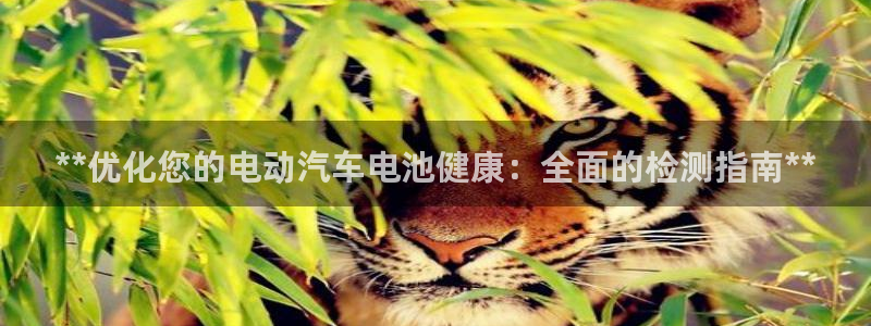 优发国际免费游戏下载