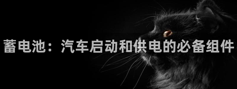 优发国际官网登陆