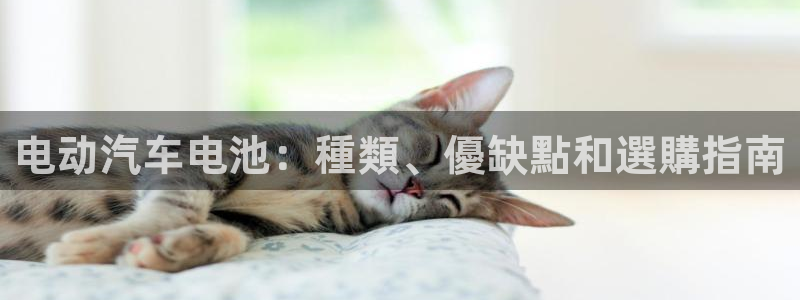 优发国际随优而动一触即发