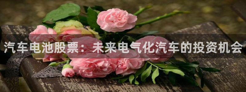 优发国际官方网平台电话
