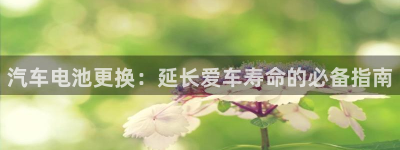 优发国际手机客户端下载安装