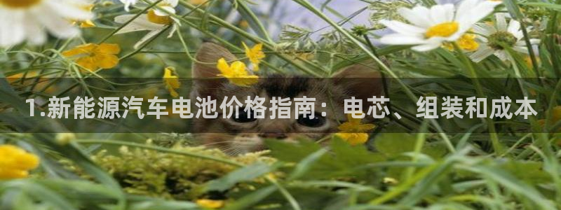 优发国际平台app下载官网
