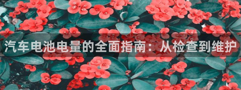 优发国际官方网手机版下载苹果