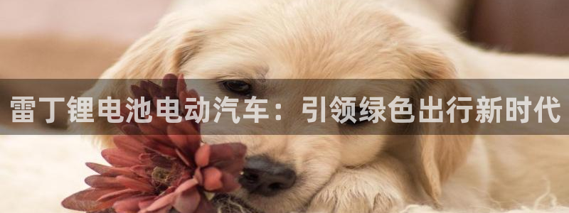 优发国际手机版网站下载