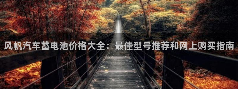 优发国际是大平台吗还是小平