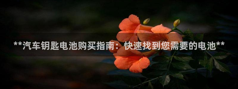 优发国际手机客户端下载安装不了