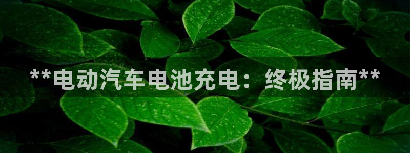 优发国际平台u8是什么公司