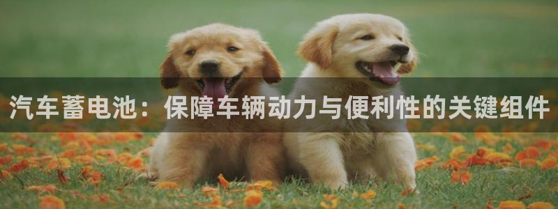 优发国际平台u8是什么公司