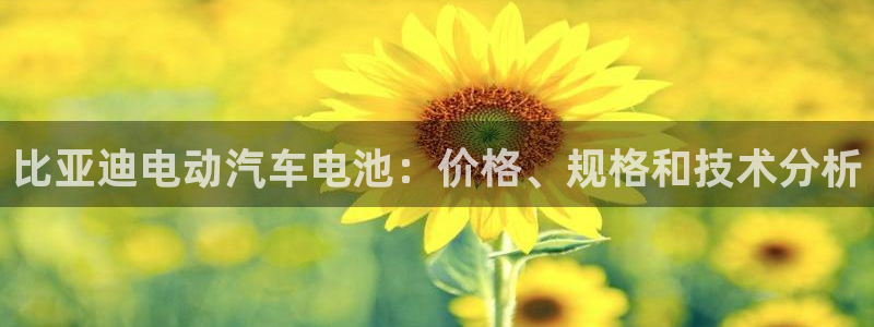 优发国际官网,首页
