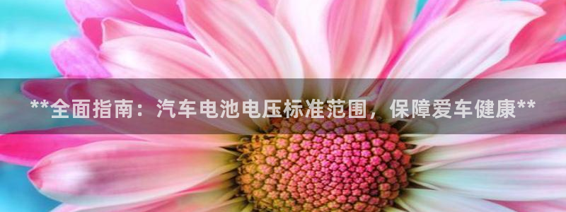 优发国际官方网手机版