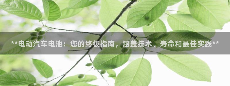 优发国际登录l8：**电动汽车电池：您的终极指南，涵盖技术、寿命和最佳实践**