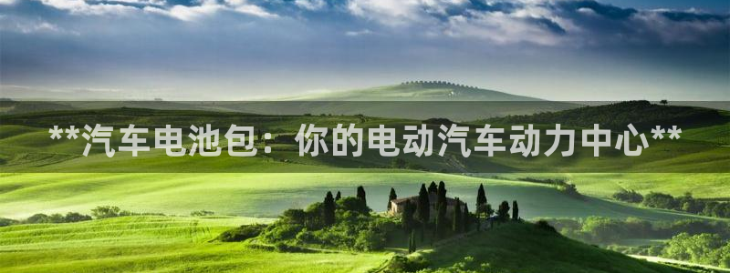 优发国际是大平台吗还是小平