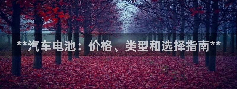 优发国际一首页