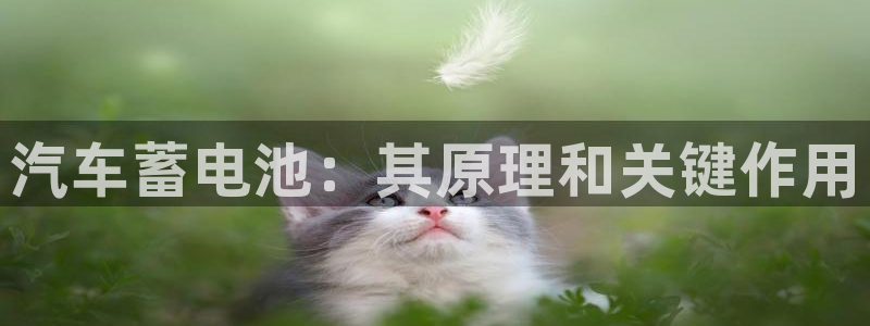 优发国际手机版下载官网