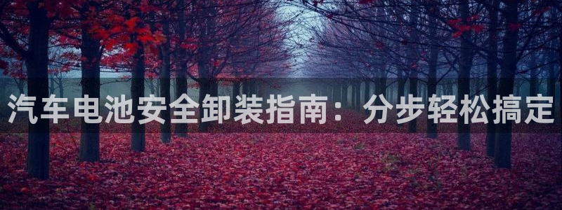 优发国际一首页