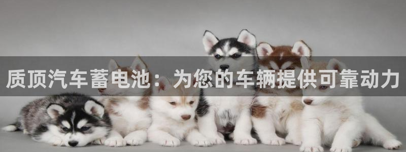 优发国际客服联系方式是什么