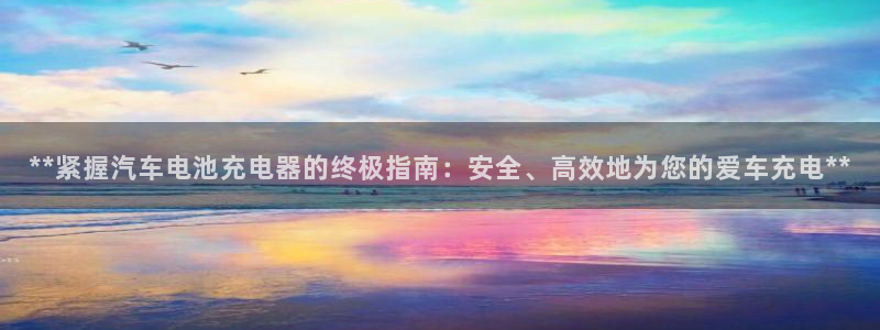 优发国际官网入口app下载：**紧握汽车电池充电器的终极指南：安全、高效地为您的爱车充电**