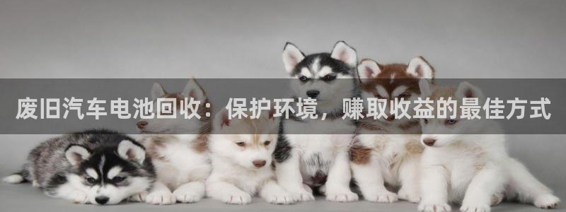 优发国际是大平台吗是真的吗