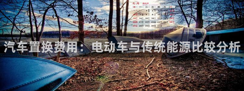 优发国际是大平台吗知乎：汽车置换费用：电动车与传统能源比较分析