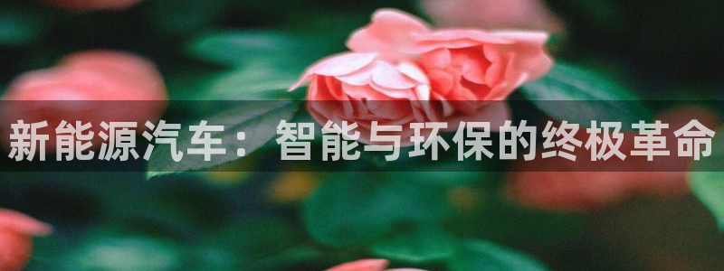 优发国际手机app下载安装官网