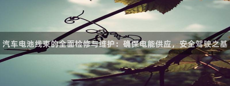 优发国际官网下载app