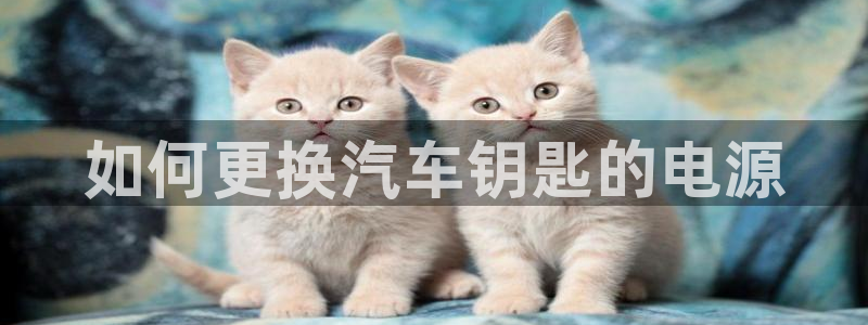 优发娱乐国际线上