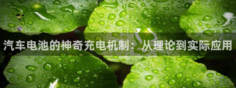 优发国际集团股份有限公司是国企吗