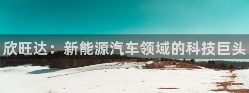 优发国际娱乐官网多少?