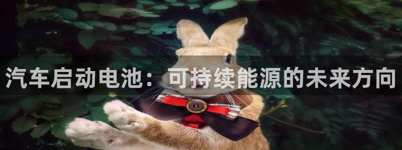 优发国际官网下载手机版：汽车启动电池：可持续能源的未来方向