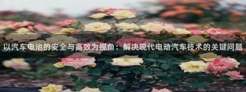 优发国际平台u8怎么样：以汽车电池的安全与高效为视角：解决现代电动汽车技术的关键问题