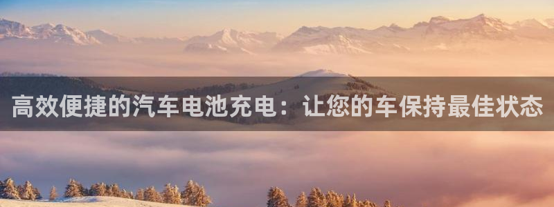 优发国际是大平台吗：高效便捷的汽车电池充电：让您的车保持最佳状态