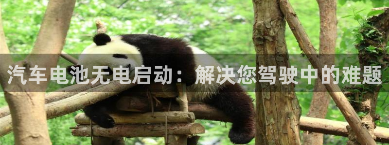 优发国际官网入口app下载安装：汽车电池无电启动：解决您驾驶中的难题