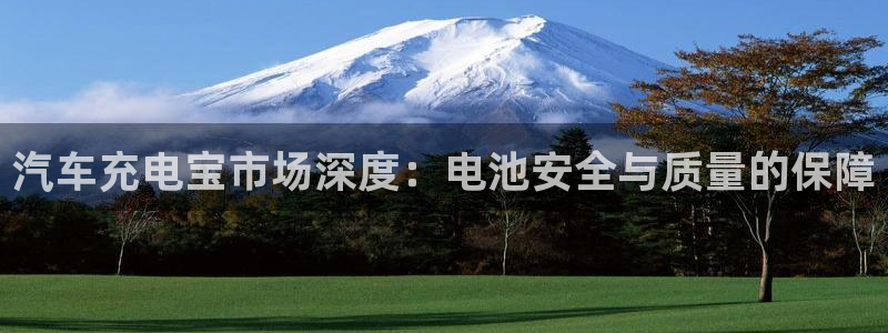 优发国际随优而动一触即发：汽车充电宝市场深度：电池安全与质量的保障