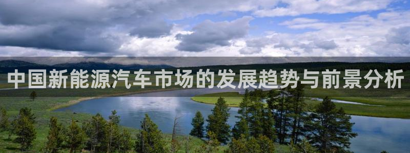 优发国际平台手机版下载官网：中国新能源汽车市场的发展趋势与前景分析