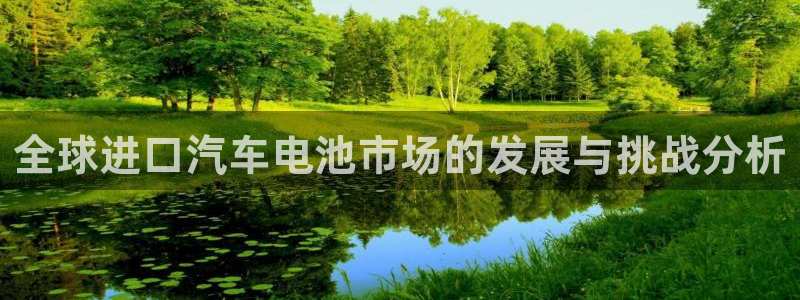 优发国际app官网下载安装苹果：全球进口汽车电池市场的发展与挑战分析
