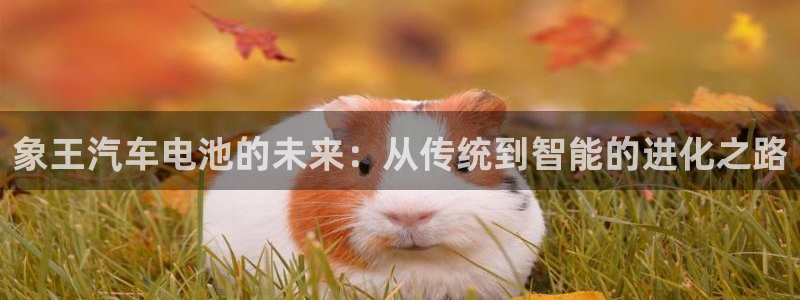 优发国际官方网手机版下载安装：象王汽车电池的未来：从传统到智能的进化之路