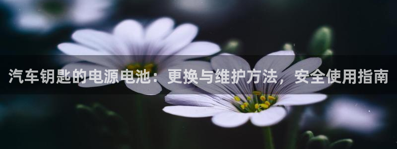 优发国际网官网17w80是什么：汽车钥匙的电源电池：更换与维护方法，安全使用指南