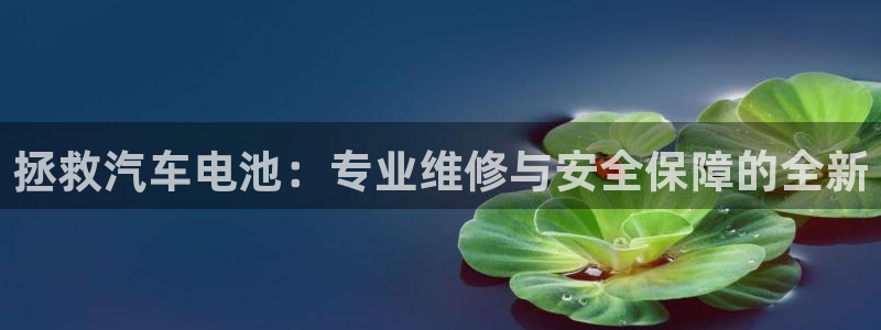 优发国际官网下载安装苹果：拯救汽车电池：专业维修与安全保障的全新