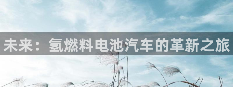 优发国际官网,首页：未来：氢燃料电池汽车