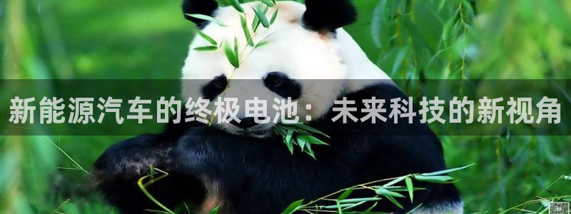 优发国际平台app下载官网：新能源汽车的终极电池：未来科技的新视角
