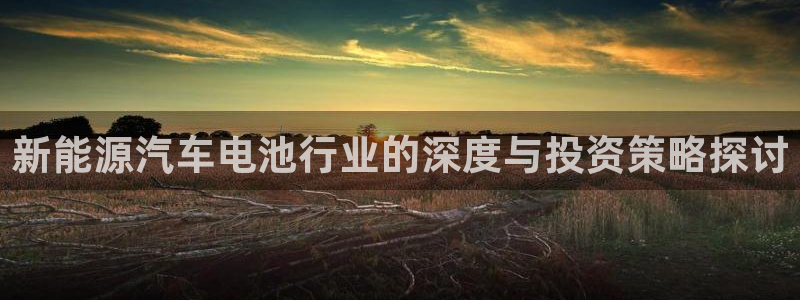 优发国际登录a：新能源汽车电池行业的深度与投资策略探讨