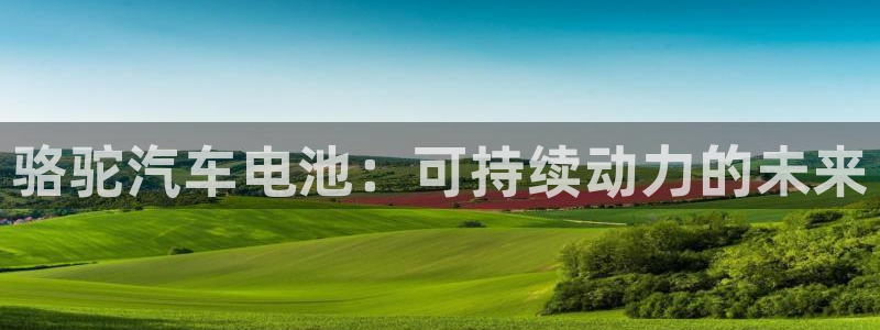 优发国际平台g80：骆驼汽车电池：可持续动力的未来