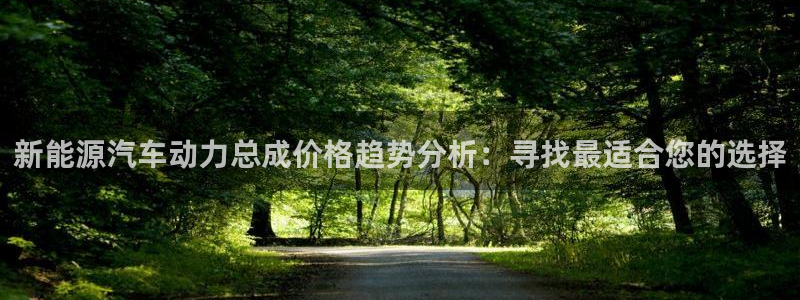 优发国际网官网17q8：新能源汽车动力总成价格趋势分析：寻找最适合您的选择